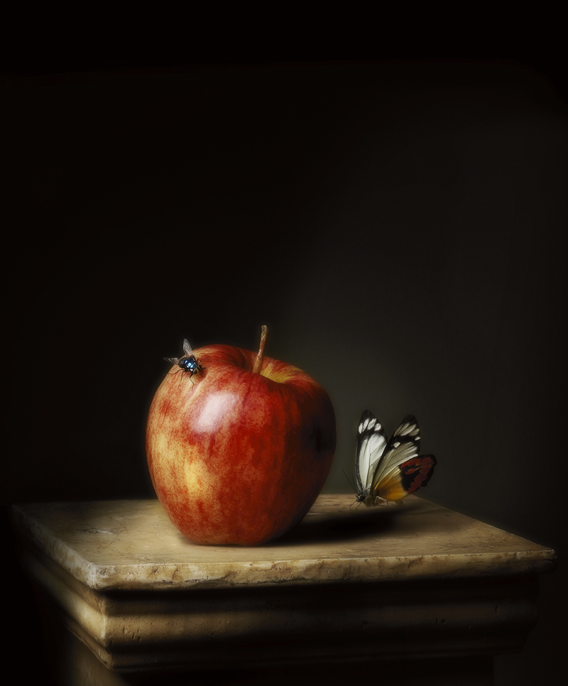 Robyn Stacey - Presentation (Apple),	2011