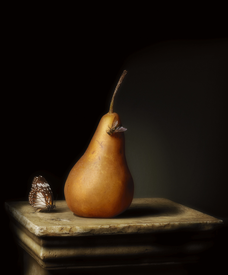 Robyn Stacey - ‘Presentation Pear’, 2011